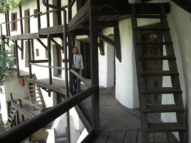 CIMG0256.JPG