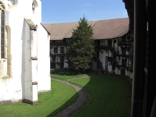 CIMG0263.JPG