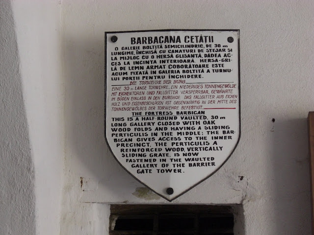 CIMG0265.JPG