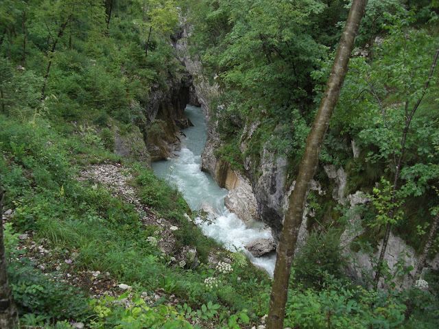 CIMG0141.JPG