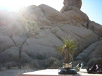 Joshua Tree Camping