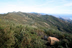Santa Barbara Hikes