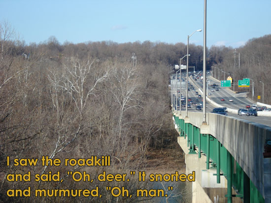 I was glad he didn't say, OH BOY! [haiku: I saw the roadkill / and said, OH, DEER. It snorted / and murmured, OH, MAN.]