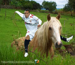 http://lh3.ggpht.com/_FpfQkAPgmKU/S-wm-WCdVoI/AAAAAAAAAJk/RRw7Y6sjlpI/ERICA_Cavalo%20copy.jpg