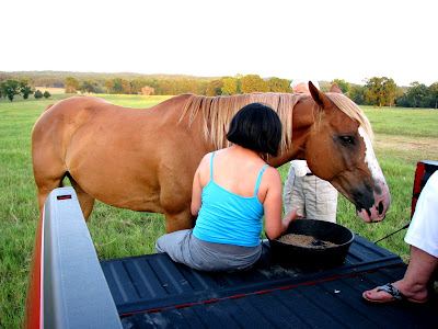 She likes that high protein performance horse feed