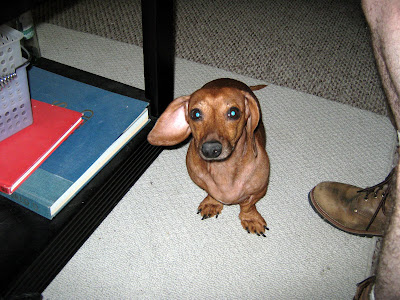 Weenie