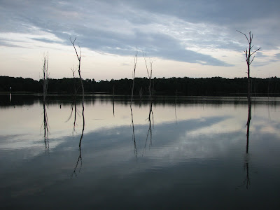 Natchez