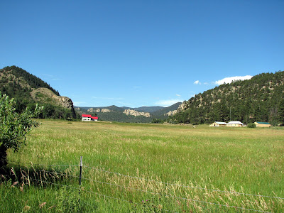 Mountain meadow