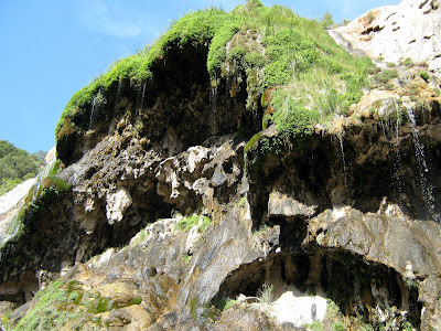 Sitting Bull Falls