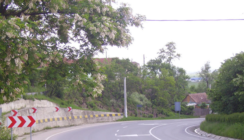 PICT0937.JPG