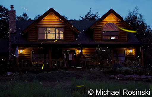 IMAGE: http://lh3.ggpht.com/_FqTNmgNQHz8/TD93mGL7o4I/AAAAAAAAKVY/cIw_o8Tdhd8/FireflysComposite%207-14-10%208sec%20f1%20v3.jpg