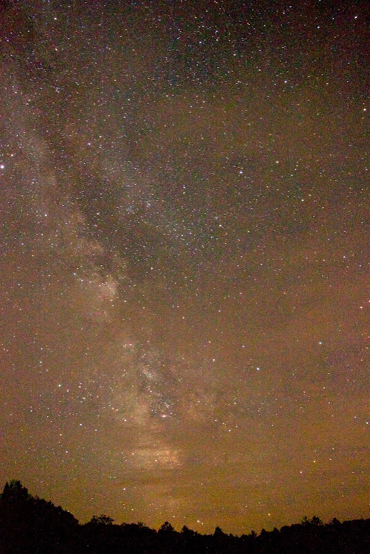 IMAGE: http://lh3.ggpht.com/_FqTNmgNQHz8/TGUNQBFNbxI/AAAAAAAAKmQ/qpifwjhll6I/s800/_MG_0651.jpg