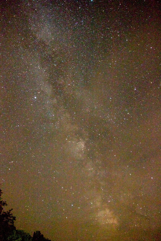 IMAGE: http://lh3.ggpht.com/_FqTNmgNQHz8/TGUNRLpJgXI/AAAAAAAAKmU/ovyhMmh_IF8/s800/_MG_0656.jpg