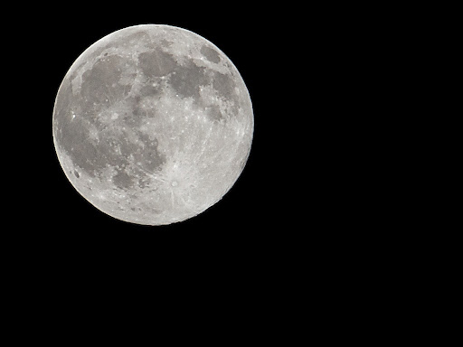 IMAGE: http://lh3.ggpht.com/_FqTNmgNQHz8/TMLREdE7sKI/AAAAAAAALFI/9KkAvb6Yfvc/IMG_8537.jpg