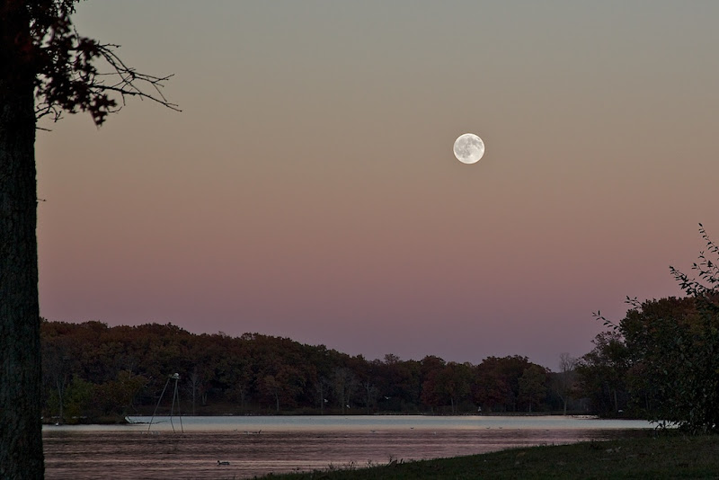 IMAGE: http://lh3.ggpht.com/_FqTNmgNQHz8/TMM-v2PcwGI/AAAAAAAALFU/_qqFzn8MNsc/s800/IMG_8498.jpg