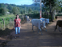 P1030246-700003.JPG