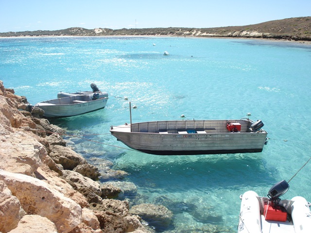 [CoralBay0134.jpg]