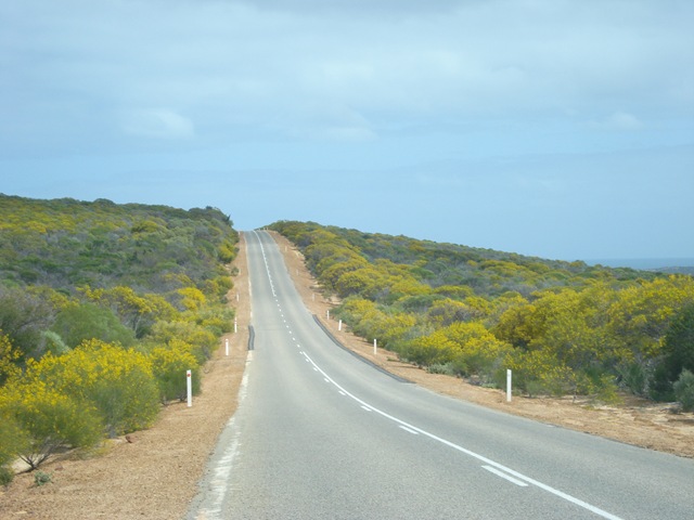 [KALBARRI 023[4].jpg]