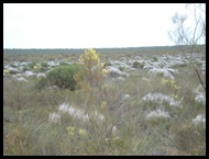 KALBARRI 019