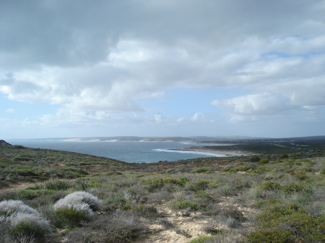 [KALBARRI 054[8].jpg]