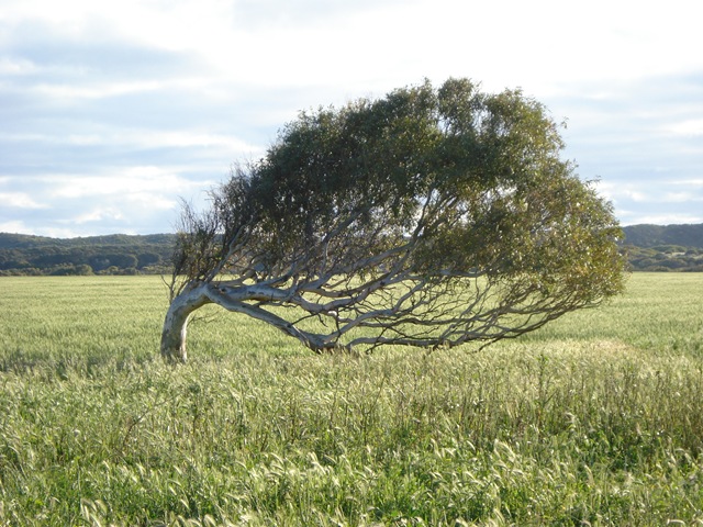 [Geraldton0635.jpg]