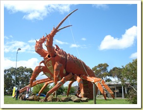 Mt Gambier- Ocean Road 007