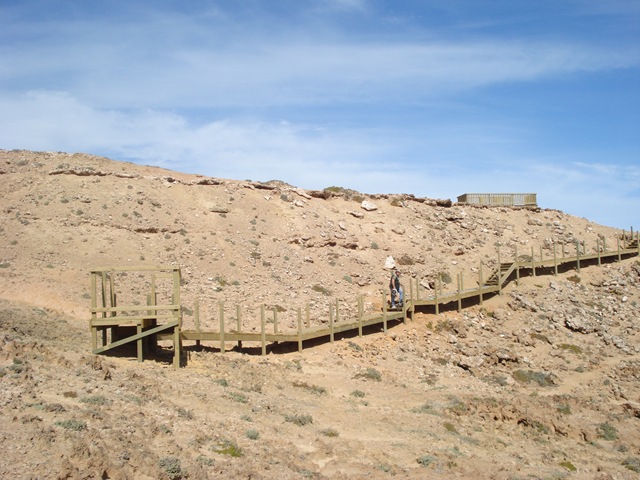 [StreakyBaytoAdelaide0105.jpg]