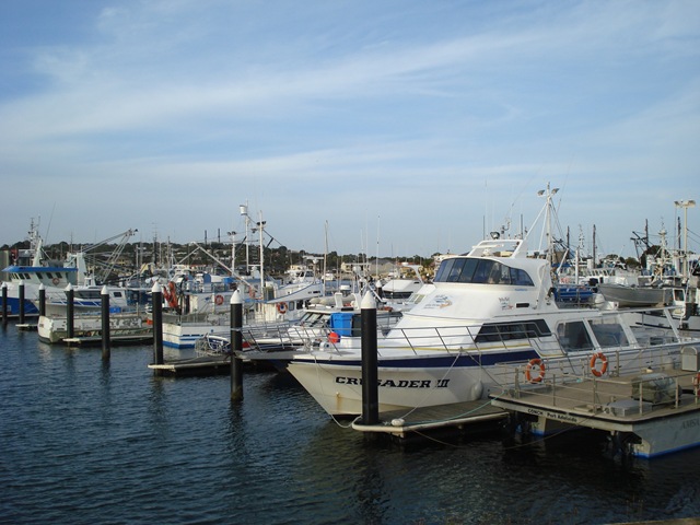 [StreakyBaytoAdelaide0663.jpg]