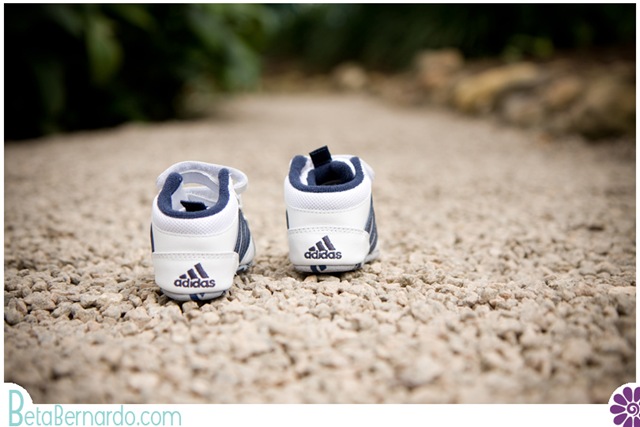 [IMG_9376-1 copy[2].jpg]