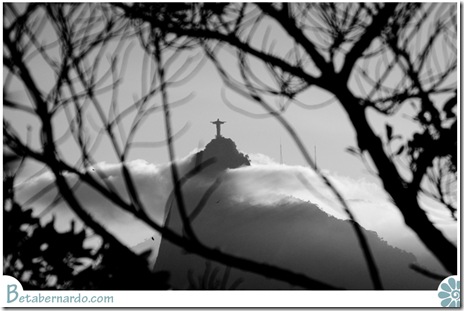 IMG_2674-1-3 copy