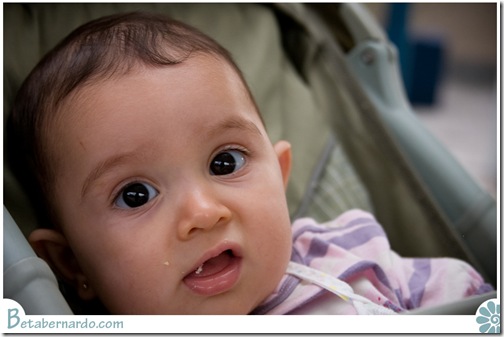 IMG_5883-1 copy