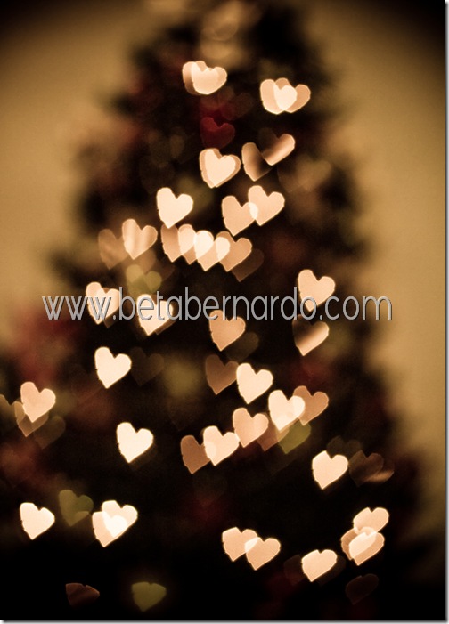 IMG_8682-7 copy