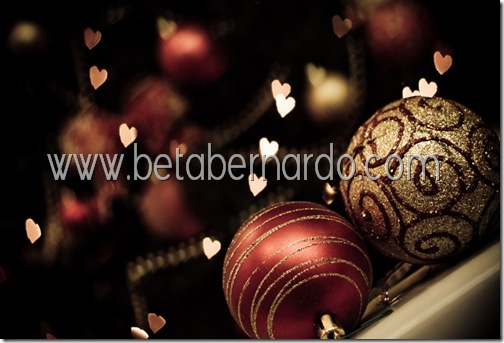 IMG_8667-1 copy