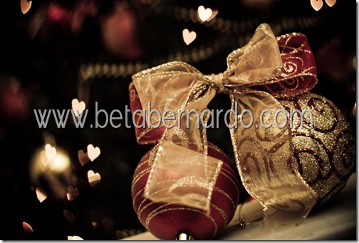 IMG_8669-3 copy