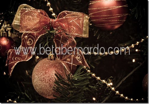 IMG_8674-7 copy