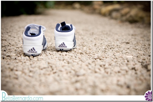 IMG_9377-2 copy
