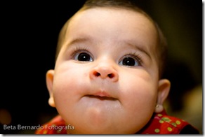 Artur-0337 Artur-0337
