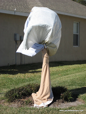 Sheets and Towels for Frost Protection