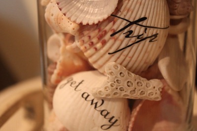 IMG_1395 IMG_1395