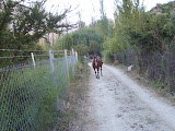 S5000793.JPG