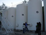 DSCN7693.JPG