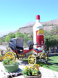 DSC01027.JPG