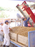 ArtesanosCochiguaz.JPG