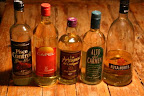 Elqui Valley and the typical chilean Pisco
