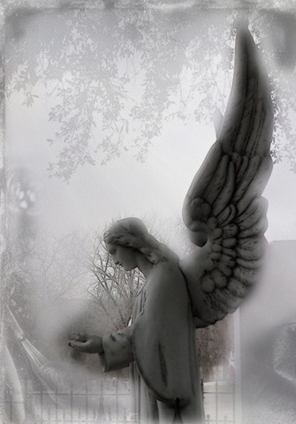 [Angel Wings 3[5].jpg]