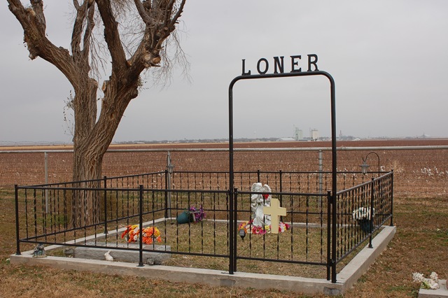 [Loner fence 2[3].jpg]