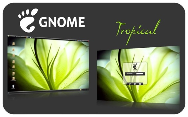 [tropical-prsentation[3].jpg]