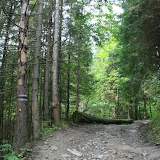 karpaty_2009 397.jpg