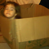Bean in a Box Bean in a Box