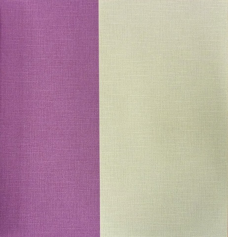 [CaselioHauteCouture105.jpg]